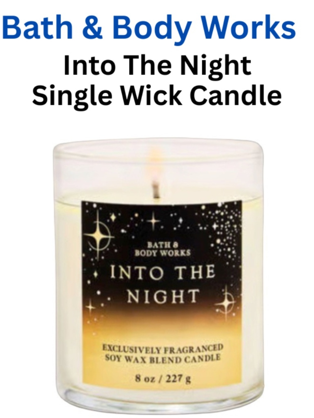 Bath & Body Works Single Wick Candle "Into the Night" - Brand New